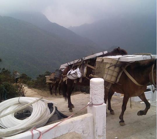 山區(qū)馬幫運(yùn)輸
