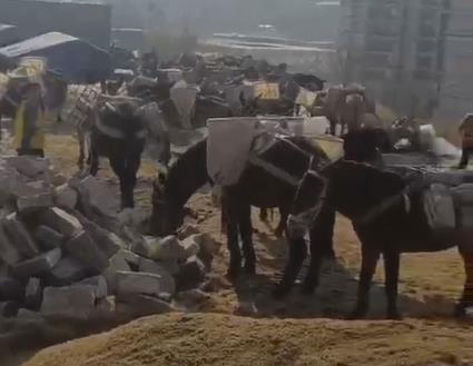 馬隊山路運(yùn)輸