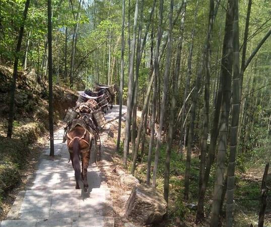 山路馬隊(duì)運(yùn)輸